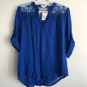 Blue Blouse